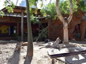 ワイルドライフ・シドニー