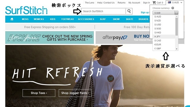 surfstich01mainpage