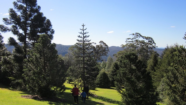 Blue Mountains Botanic Garden