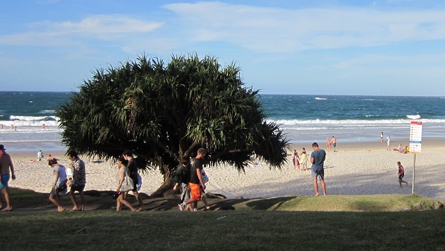 バイロンベイビーチ