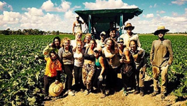 fb_img_1477833858290reduced