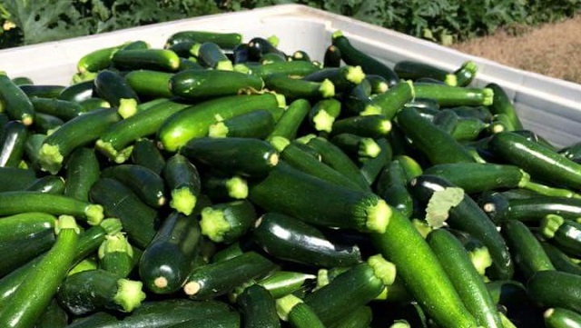 fb_img_1477833885913-2