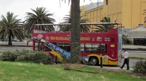 メルボルン　観光　バス　周遊