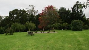 ブルーマウンテンズ　ファーム