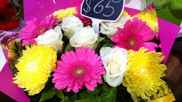 母の日 菊 花 オーストラリア