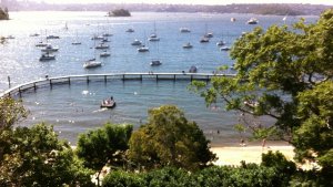 シドニー　ハーバー　ビーチ　ダブルベイ