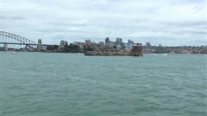 シドニー湾　シドニーハーバー　クルーズ　フェリー