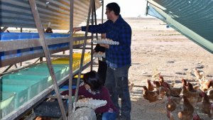 オーストラリア卵ケージフリー