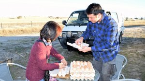 産みたて卵　オーストラリア