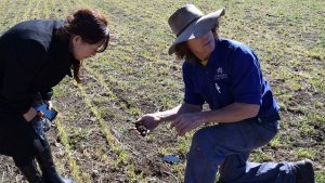 オーストラリア農業視察