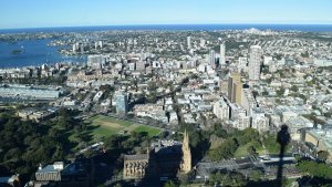 シドニータワーからの景色