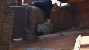 ワイルドライフ・シドニー動物園（Wild Life Sydney Zoo）