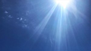 オーストラリアの日差し