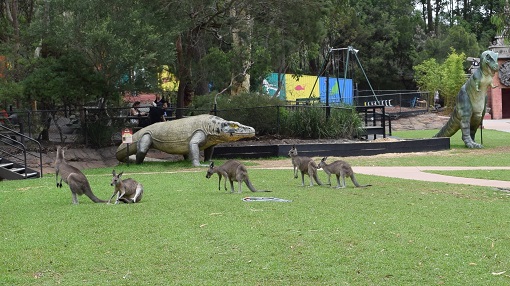 カンガルー放飼い コアラたくさん 爬虫類充実の動物園 オーストラリアン レプタイル パーク Australia Here And Now