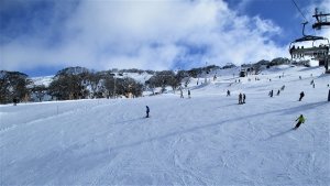 スキー場ペリッシャー