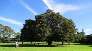 ワーホリ帰国者の評価