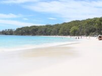 ジャービスベイ