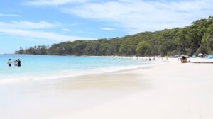 ジャービスベイ