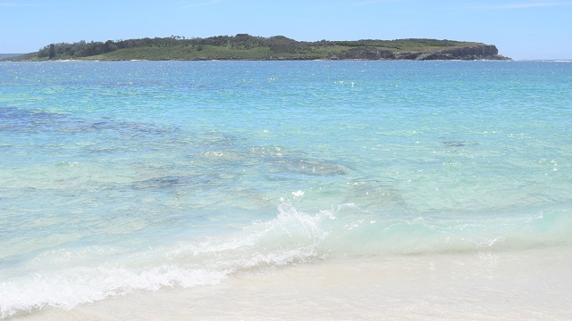 オーストラリアで一番白い砂浜のビーチで有名なjervis Bay ジャービスベイ Australia Here And Now